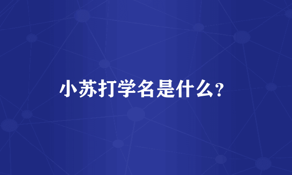 小苏打学名是什么？