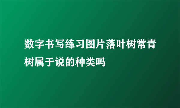 数字书写练习图片落叶树常青树属于说的种类吗