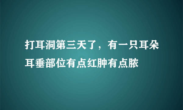 打耳洞第三天了，有一只耳朵耳垂部位有点红肿有点脓