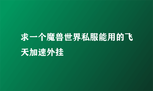 求一个魔兽世界私服能用的飞天加速外挂