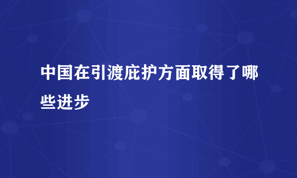 中国在引渡庇护方面取得了哪些进步