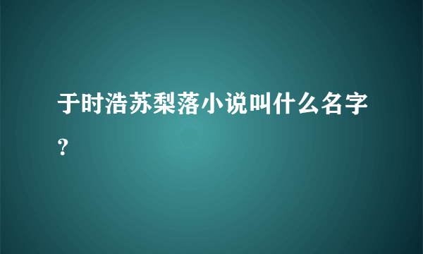 于时浩苏梨落小说叫什么名字？