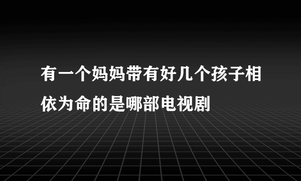 有一个妈妈带有好几个孩子相依为命的是哪部电视剧