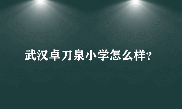 武汉卓刀泉小学怎么样？