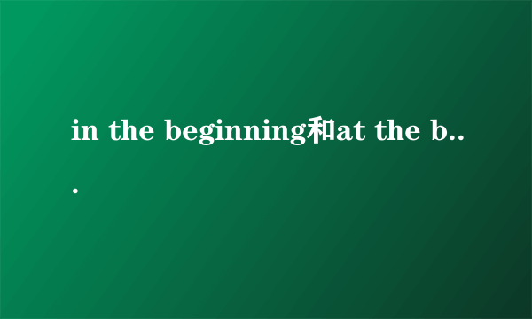 in the beginning和at the beginning的区别是什么