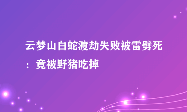 云梦山白蛇渡劫失败被雷劈死：竟被野猪吃掉