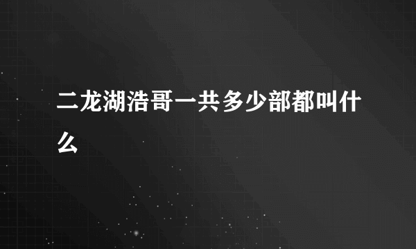 二龙湖浩哥一共多少部都叫什么