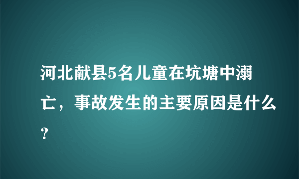 河北献县5名儿童在坑塘中溺亡，事故发生的主要原因是什么？