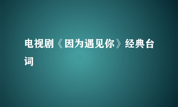 电视剧《因为遇见你》经典台词