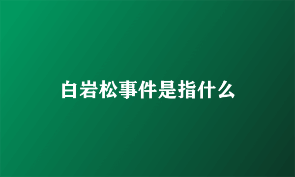 白岩松事件是指什么