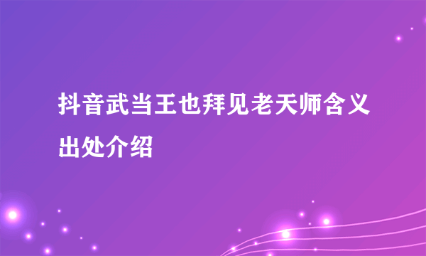 抖音武当王也拜见老天师含义出处介绍