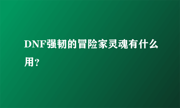 DNF强韧的冒险家灵魂有什么用？