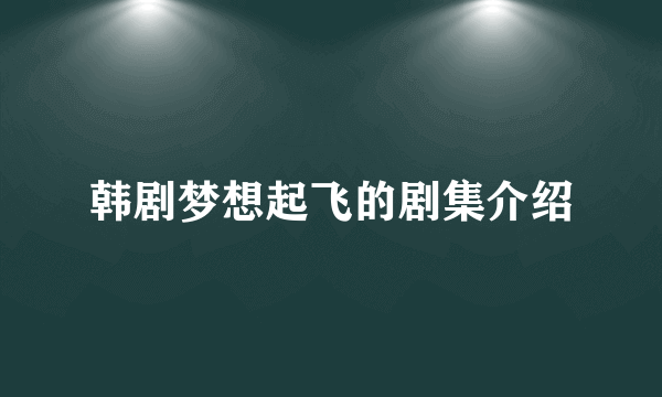 韩剧梦想起飞的剧集介绍