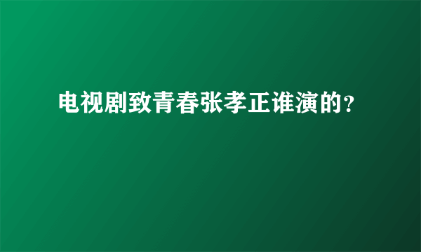 电视剧致青春张孝正谁演的？