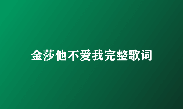 金莎他不爱我完整歌词