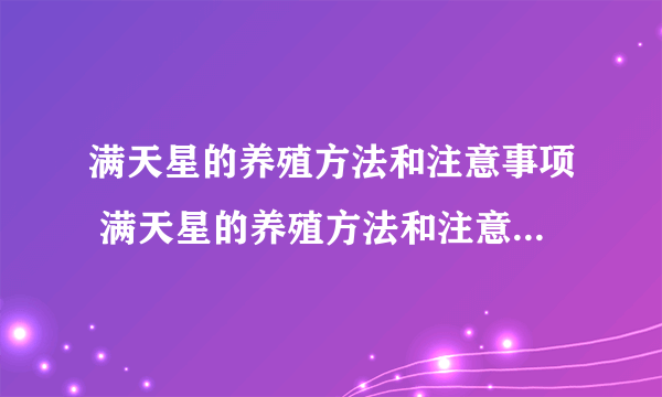 满天星的养殖方法和注意事项 满天星的养殖方法和注意事项有哪些