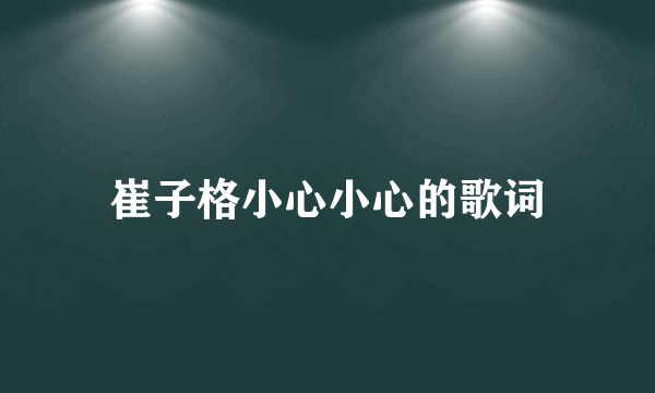 崔子格小心小心的歌词