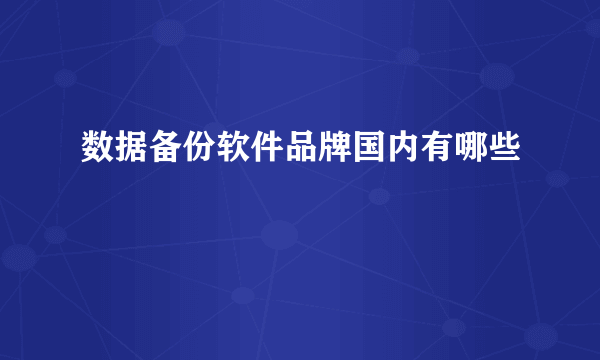 数据备份软件品牌国内有哪些