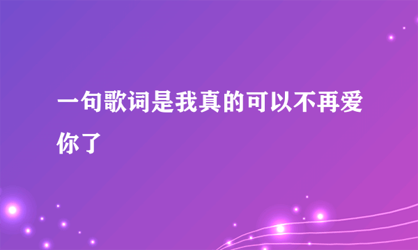 一句歌词是我真的可以不再爱你了