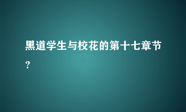 黑道学生与校花的第十七章节？