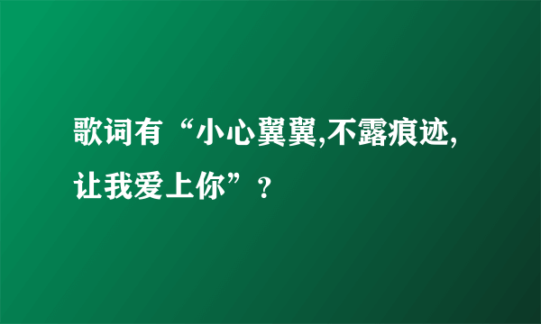 歌词有“小心翼翼,不露痕迹,让我爱上你”？