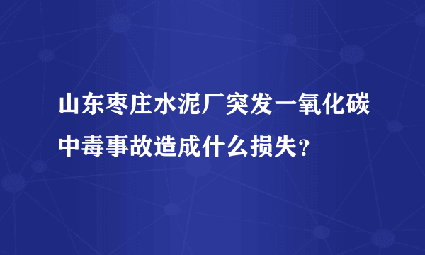 山东枣庄水泥厂突发一氧化碳中毒事故造成什么损失？