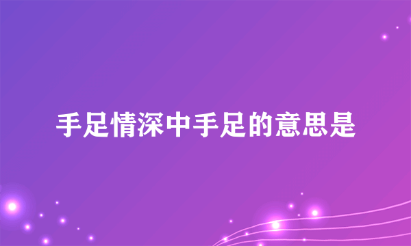 手足情深中手足的意思是