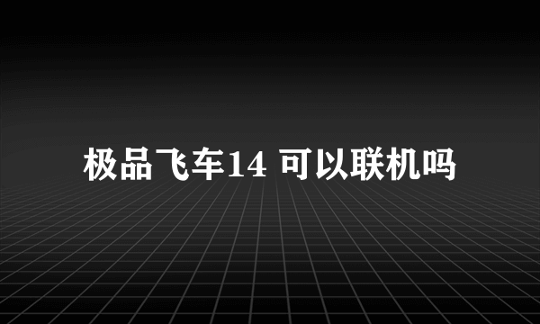 极品飞车14 可以联机吗