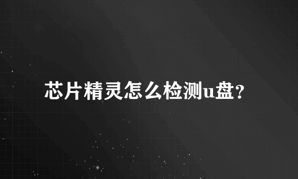 芯片精灵怎么检测u盘？