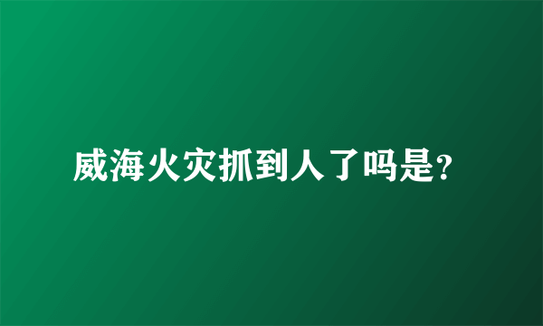 威海火灾抓到人了吗是？