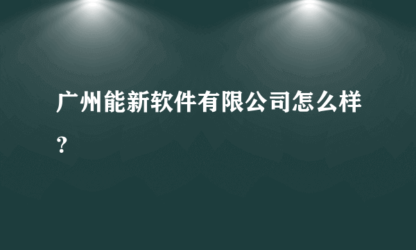 广州能新软件有限公司怎么样？