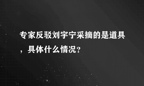 专家反驳刘宇宁采摘的是道具，具体什么情况？