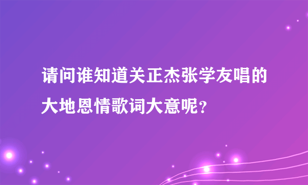 请问谁知道关正杰张学友唱的大地恩情歌词大意呢？