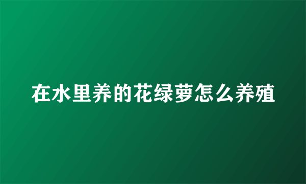 在水里养的花绿萝怎么养殖