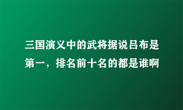 三国演义中的武将据说吕布是第一，排名前十名的都是谁啊