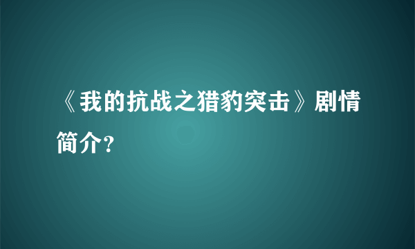 《我的抗战之猎豹突击》剧情简介？