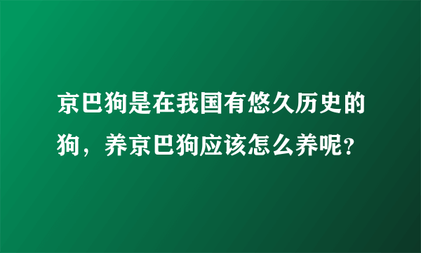 京巴狗是在我国有悠久历史的狗，养京巴狗应该怎么养呢？