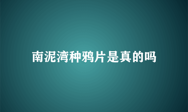 南泥湾种鸦片是真的吗