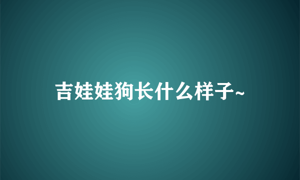 吉娃娃狗长什么样子~