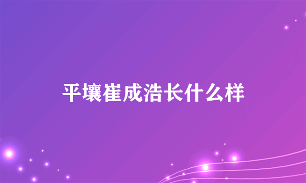 平壤崔成浩长什么样