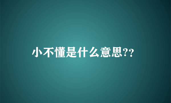 小不懂是什么意思?？