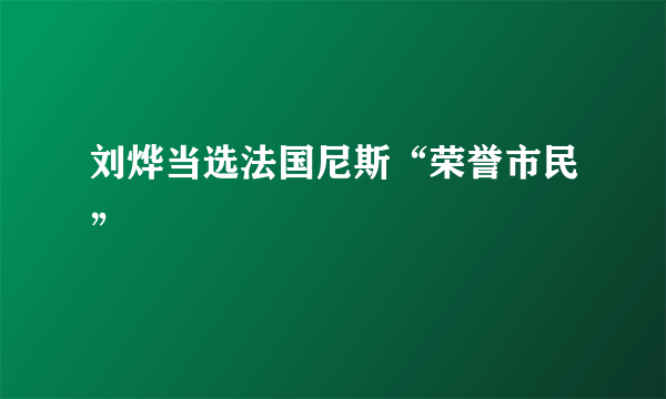 刘烨当选法国尼斯“荣誉市民”