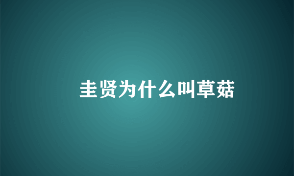 曺圭贤为什么叫草菇