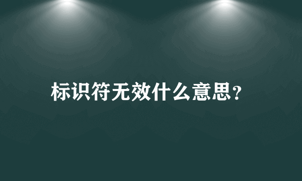 标识符无效什么意思？