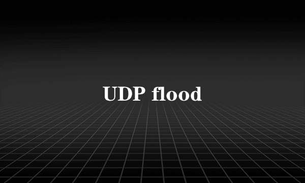 UDP flood