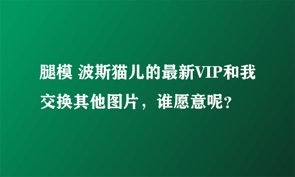 腿模 波斯猫儿的最新VIP和我交换其他图片，谁愿意呢？