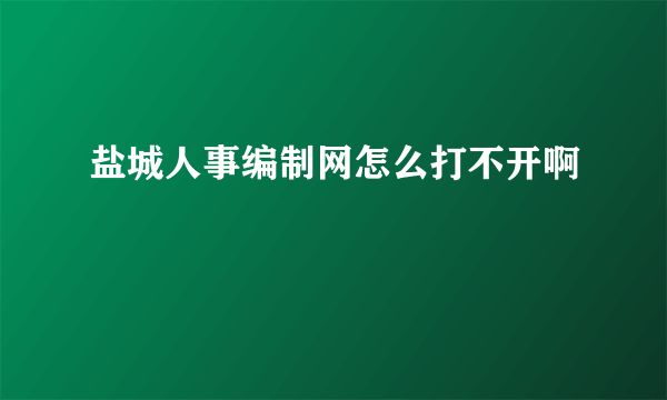 盐城人事编制网怎么打不开啊