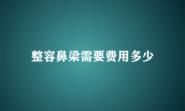 整容鼻梁需要费用多少