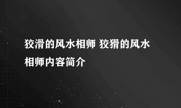 狡滑的风水相师 狡猾的风水相师内容简介