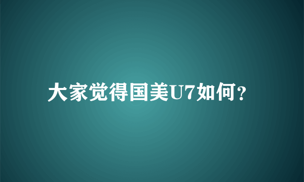 大家觉得国美U7如何？